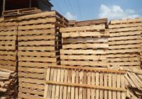 Những Tiêu Chuẩn Đánh Giá Pallet Gỗ Tốt